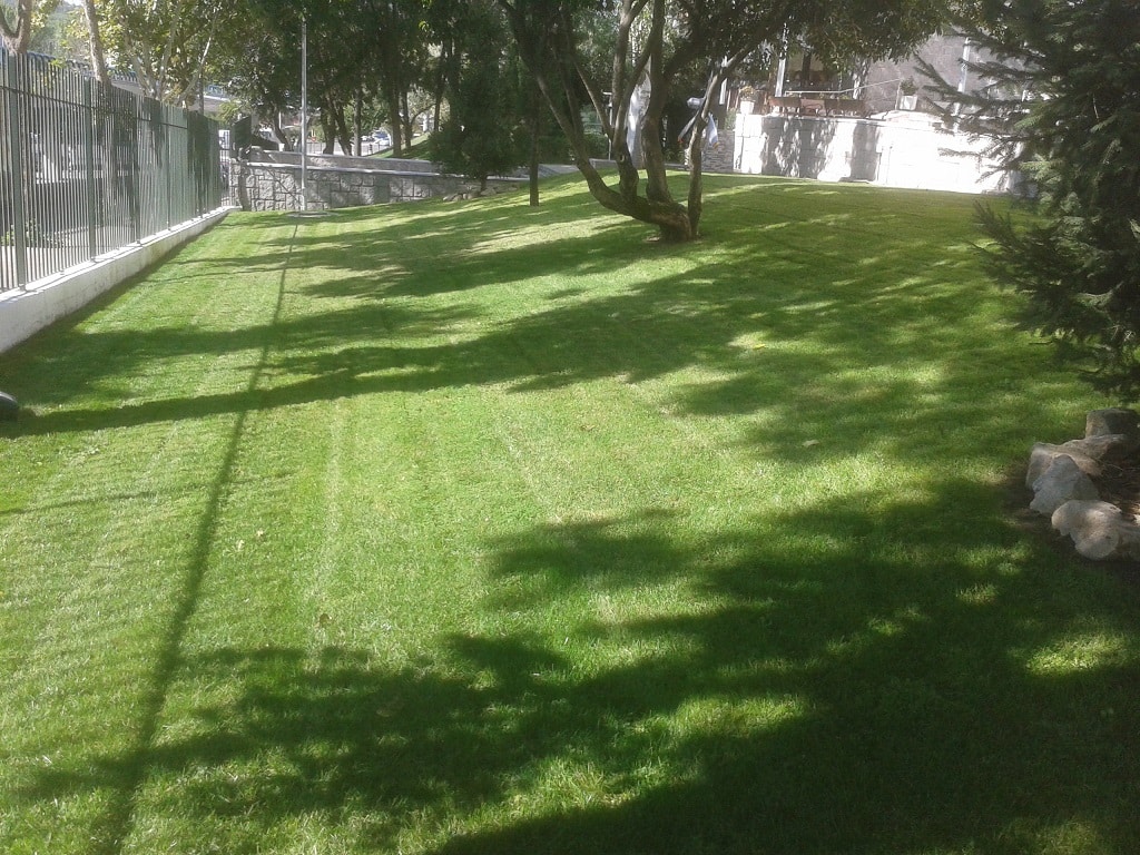 Empresa de jardineria en Madrid