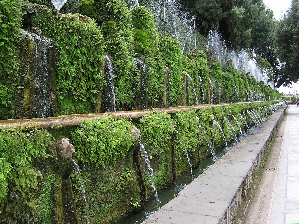 Empresa de jardineria en Madrid