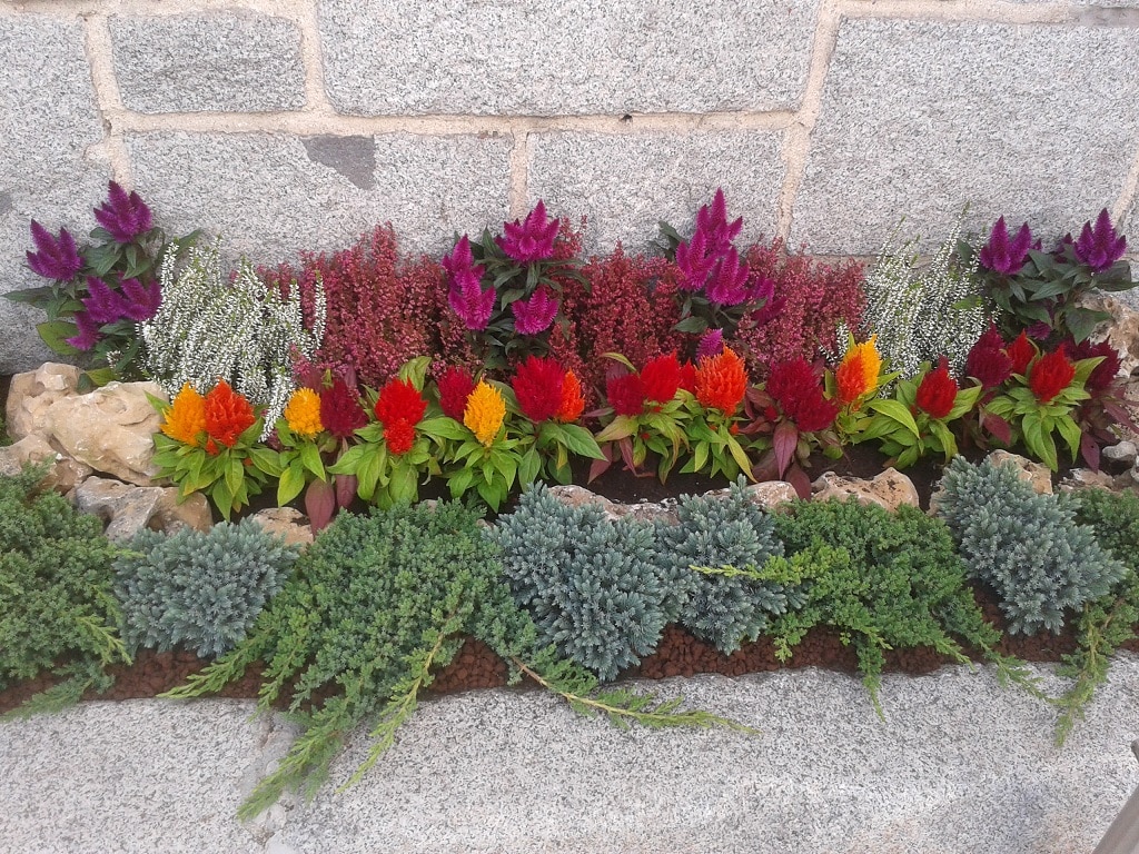 Mantenimiento de jardines Madrid